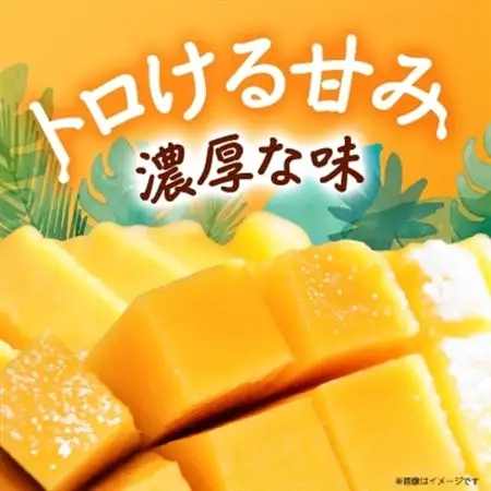 【2026年8月から順次発送・化粧箱】JAおきなわ厳選!沖縄県産キーツマンゴー2kg(2～3玉)【配送不可地域：離島】【1494471】