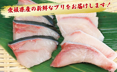 鰤訳あり鰤切身1kg南予ビージョイD011-150006