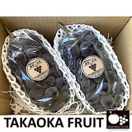 「産地より信州中野の旬をお届け」 種なし巨峰　贈答用　約1kg　【配送不可地域：離島】【1311063】