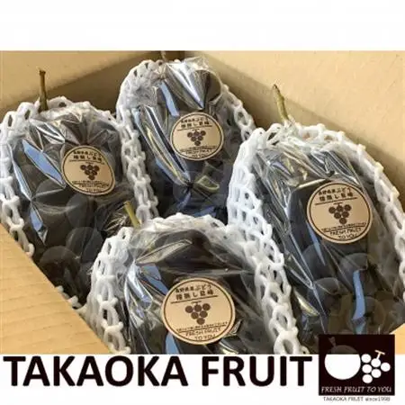 「産地より信州中野の旬をお届け」 種なし巨峰　贈答用　約1.8kg　【配送不可地域：離島】【1311075】