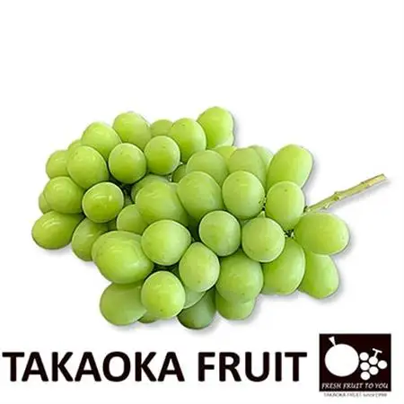 2026年発送「産地より信州中野の旬をお届け」 シャインマスカット　PREMIUM　約1.2kg【配送不可地域：離島】【1311086】