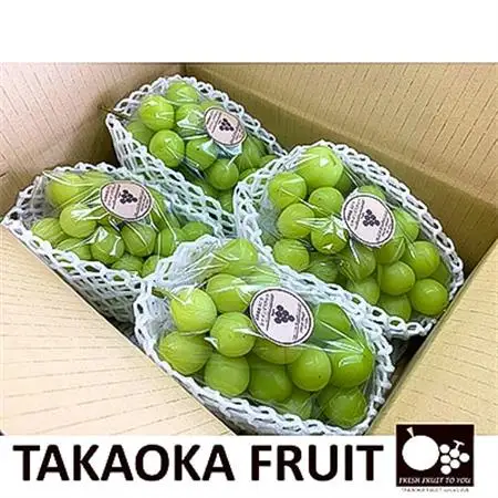 2026年発送「産地より信州中野の旬をお届け」 シャインマスカット　贈答用　約1.8kg【配送不可地域：離島】【1311089】