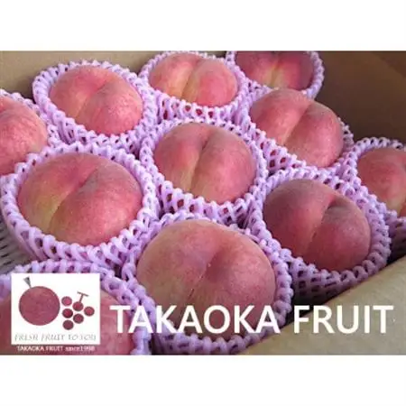  高丘フルーツの長野県産「もも」贈答用　約3Kg　8-12玉前後【配送不可地域：離島】【1407548】
