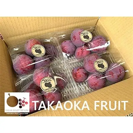 高丘フルーツの長野県産「プラム(すもも)」贈答用　約2Kg【配送不可地域：離島】【1407614】