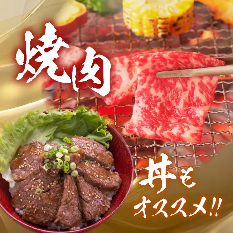 【牛肉】 船小屋牛 リブロース 焼肉 【500g】《筑後》【冷凍】 176-003