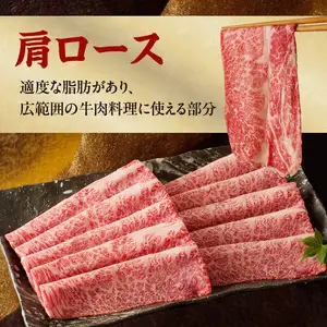 【牛肉】 船小屋牛 肩ローススライス 【500g】《筑後》【冷凍】 176-007