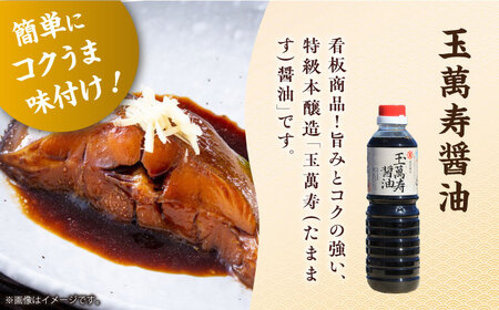人気&刺身醤油味比べセット 濱口醤油[XAA069]