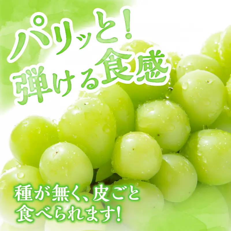 【2026年先行予約】北杜市白州 名水の里のシャインマスカット 約1kg(2房) ご家庭用 [h222]