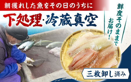 【12回定期便】【冷蔵】【下処理済】鮮魚ボックス3種 五島市/金沢鮮魚[PEP014] 金澤仕立て  鮮魚 冷蔵 真空パック 新鮮 下処理済み 海鮮 刺身 セット