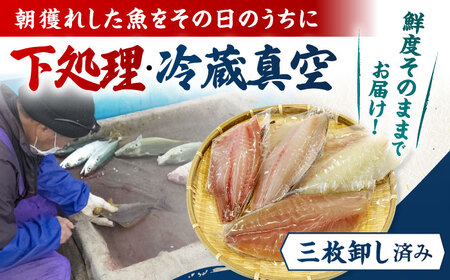 【3回定期便】【冷蔵】【下処理済】鮮魚ボックス4種 五島市/金沢鮮魚[PEP015] 金澤仕立て  鮮魚 冷蔵 真空パック 新鮮 下処理済み 海鮮 刺身 セット