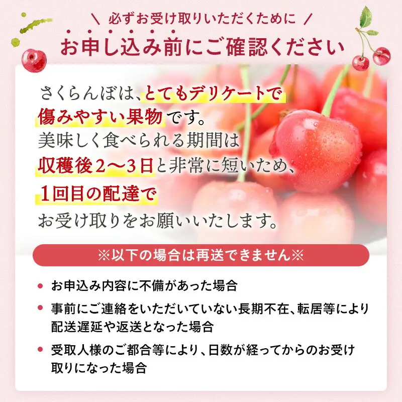 三関産 さくらんぼ 佐藤錦 250g×2 (秀Lサイズ)【三関果樹勉強会】[B3-3203]
