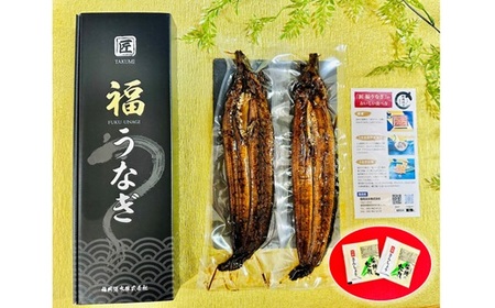 AE235.うなぎ蒲焼2尾（計400～500g）