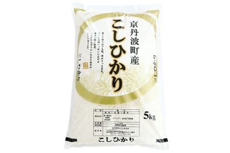 《 先行予約 》 こしひかり 京丹波町産 5kg 令和8年産 米 