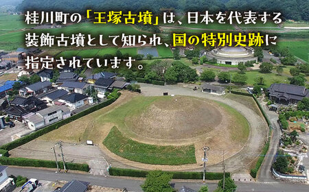 【災害・復興支援】王塚古墳グッズ6点セット エコバッグ ステーショナリー キーチェーン 桂川町/桂川町役場 [ADAO008] 
