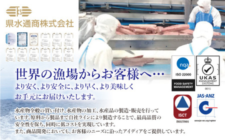 【ふるさと納税】【県水の熟成まぐろ】熟成 本鮪 入りねぎとろ、漁師作りプレミアム、熟成 サーモン たたき、食べ比べ セット　計約2.0Kg　※北海道・沖縄・離島への配送不可｜高品質 ねぎとろ 鮪 まぐろ 脂 たたき まぐろのたたき メバチ キハダ 寿司 すし 海鮮 小分け 海鮮丼 手巻き寿司 神奈川 相模原