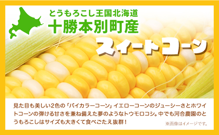 朝採りとうもろこし 河合農園のスイートコーン 12本 特大サイズ(1本380g以上) 河合農園《2026年8月上旬-9月中旬頃出荷》特大 北海道とうもろこし　とうもろこし　とうもろこし　とうもろこし 北海道 朝採れ 真空予冷 冷蔵 高糖度 夏野菜