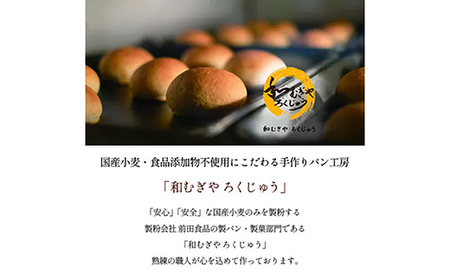 国産小麦粉100%使用!食品添加物不使用! 天然酵母・自社培養酵母の【訳ありパン】詰め合わせセット - 国産 国産小麦 パン 手作り てづくり 美味しい おいしい 訳あり 無添加 天然酵母 冷凍 おやつ ドライフルーツ ナッツ 埼玉県 幸手市