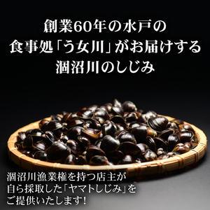 活しじみ 特選 大玉 1.5kg（500ｇ×3） 涸沼川 う女川（IX-106）