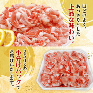 【小分け】宮崎県産豚肉切り落とし3.5kg（250g×14） 小分け セット 豚肉