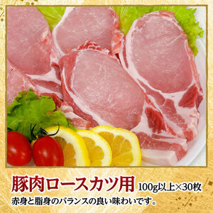 宮崎県産豚肉　ロースとんかつ用（100g以上×30枚） 【 豚肉 豚 肉 宮崎県産 ロースカツ 送料無料 】