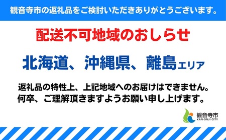 6号鉢 底面給水 シクラメン 1鉢（箱入り） 