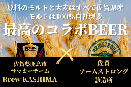 佐賀県鹿島市　社会人サッカー【Brew KASHIMA】応援　クラフトビール　Brew ビール　6本セット（330ml×6本）　D-209