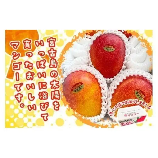 JH001《先行予約 2026年発送》宮古島産マンゴー１kg【(株)フラモン】