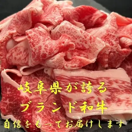 飛騨牛切り落とし300g×2パック【配送不可地域：離島】【1507965】