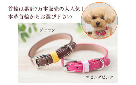 迷子札付き犬首輪　本革製　ネームタグ　日本製　ペット用品 ／ 犬用 首輪 迷子札 セット ペットグッズ ペット用品 ぶらぶらしない なくならない 愛犬 名入れ オーダー品 おしゃれ 可愛い プレゼント 贈り物 てるべる 埼玉県 No.026