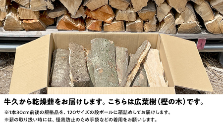 牛久市産 乾燥 薪 樫 ( かし ) 約14kg～16kg