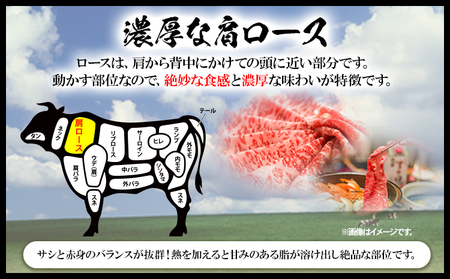 黒毛和牛 A5等級牛ロース 肩ロース 約500g 有限会社ホーティカルチャー神島 肉 和牛 国産 牛肉 《30日以内に発送予定(土日祝除く)》岡山県 浅口市 冷凍 送料無料 すき焼き しゃぶしゃぶ 薄切り