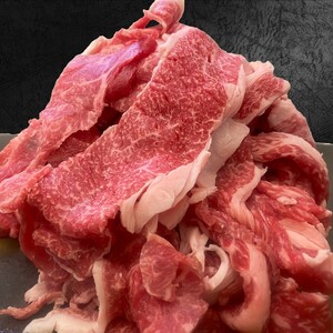 【肉のまち かこがわ】黒毛和牛 赤身切り落とし スライス300g×2 《 黒毛和牛 和牛 牛肉 赤身 お肉 切り落とし 》【2401A00620】