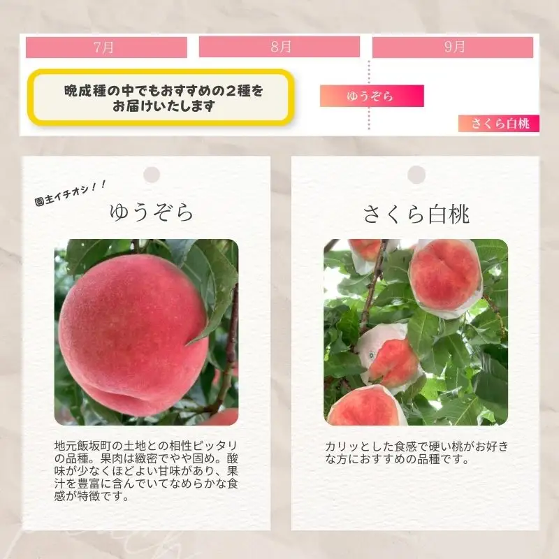 No.2918 ヤマ考紺野果樹園 福島の桃だけ２種定期便各約2kg【2026年発送】
