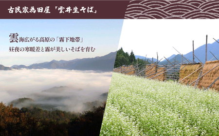 新そば 雲井生そば 5人前 特製つゆ付 打ちたて直送