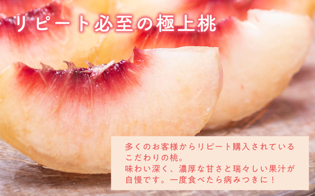 ≪8月中旬～9月発送予定≫ 特秀品  元祖こだわり桃 約3kg  品種おまかせ 青森県平川市産 