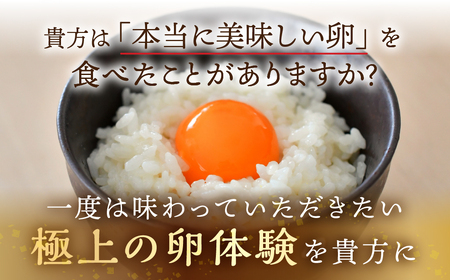 極上卵 30 個 割れ保証付き 卵