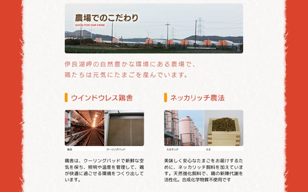 希少な2種のたまごセット 50個 割れ保証付き 卵 たまご 鶏卵 50 お楽しみ 卵 たまご