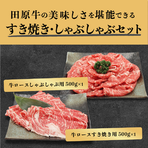 田原牛 堪能セット 牛ロース ステーキ250g×2 しゃぶしゃぶ用 500g すき焼き用 500g 牛肉 ビーフ 肩ロース ステーキ しゃぶしゃぶ お取り寄せ 牛 特産 ご当地 グルメ 国産 霜降り ふるさと納税 肉 冷凍 贅沢 和食 洋食 祝 田原市 送料無料
