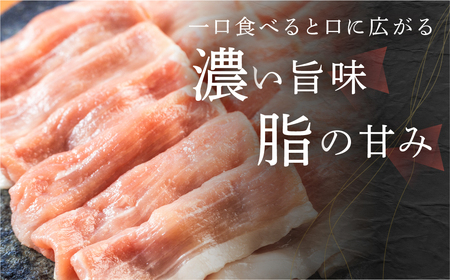 訳あり 国産豚肉 切り落とし 2kg 豚肉 瓜生