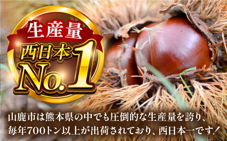 むき栗 約1kg 【株式会社あんず】[ZBT014]