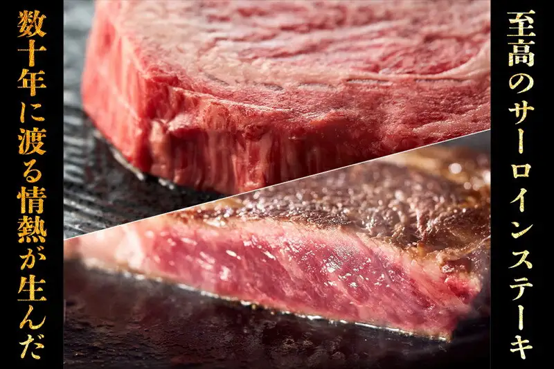 神奈川県産和牛 阿夫利牛のステーキ 600g【 肉 ステーキ】