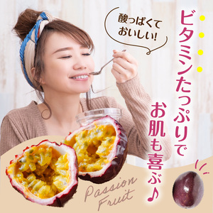 【 2026年 先行予約 】 完熟 ！ パッションフルーツ 【 大玉 】 （ 12個入り ） C065-001-02 果物 フルーツ