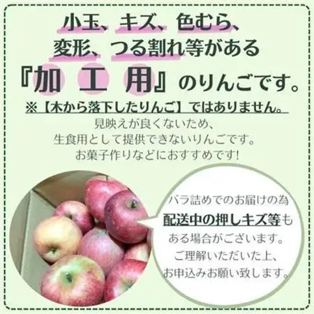 信州りんご 加工用 10kg サンふじ【1508406】