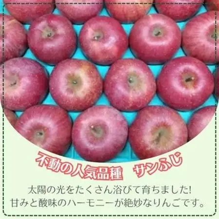 信州りんご サンふじ(1段)4.8kg～5kg 優品【1508409】
