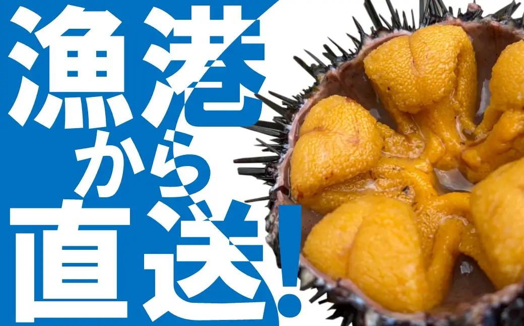 生うに 「黄金雲丹」170g 瓶詰め 生うに