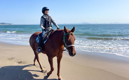 馬と風光明媚な三浦の街と海岸で過ごす 馬に乗って三浦をお散歩 ～ 海岸外乗 120分 ～ M106-001 チケット 体験