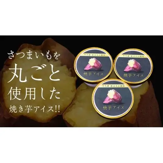 牛久市産 紅はるか 使用 焼き芋アイス 12個 入り