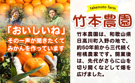 麗紅 約2kg みかん