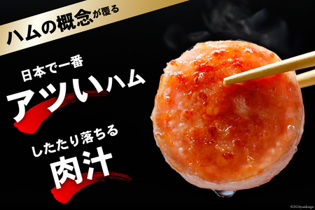 BI002 雲仙ハム ソーセージ 小300g×2本 [ 長崎県 島原市 ]