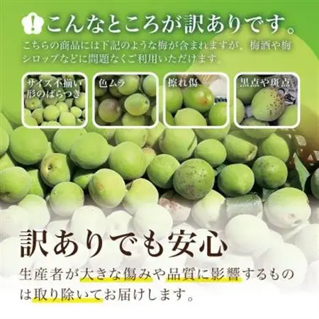 【宮城県産】ご家庭用青梅(訳あり生梅)5kg 梅酒・梅シロップ用 栽培期間中農薬不使用|太良衛門_果物・フルーツ   くだもの_【配送不可地域：離島・北海道・沖縄県・信越、北陸・東海・近畿・中国・四国・九州】【1497446】